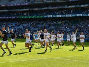 What the national media said as Laois’s amazing 2019 hurling journey came to an end